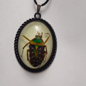 Colorful Beetle Pendant Necklace